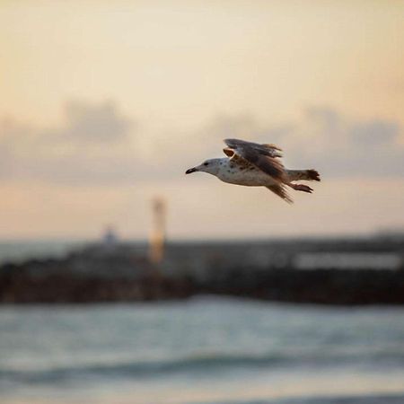 Ibis Budget Ciboure St-Jean-Luz エクステリア 写真